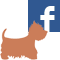 Facebook Dogcare